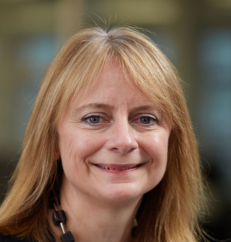 The image is not loaded.