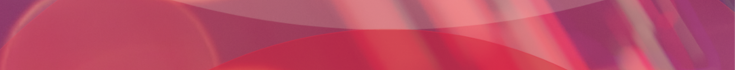 du CFO Interview - thin banner.png