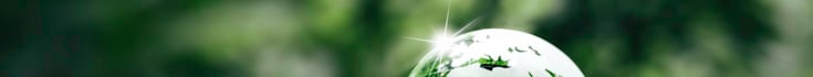 glass globe on grass