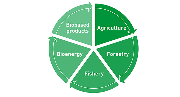 Figure 1: Overview of the areas that make up the bioeconomy